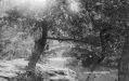 Filename=28040.jpg
Filesize=71KiB
Dimensions=500x313
Date added=Dec 24, 2015 28040.jpg