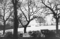 Filename=memorialpark-stn-rd2.jpg
Filesize=148KiB
Dimensions=500x325
Date added=Dec 23, 2020 memorialpark-stn-rd2.jpg