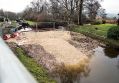 Filename=lime23121217_08.JPG
Filesize=121KiB
Dimensions=500x346
Date added=Jan 01, 2018 lime23121217_08.JPG