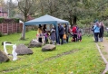 Filename=halloweenlimekilns291021_13.jpg
Filesize=189KiB
Dimensions=500x342
Date added=Nov 03, 2021 halloweenlimekilns291021_13.jpg