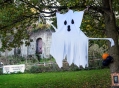 Filename=halloweenlimekilns291021_19.jpg
Filesize=202KiB
Dimensions=500x368
Date added=Nov 03, 2021 halloweenlimekilns291021_19.jpg