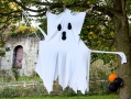 Filename=halloweenlimekilns291021_20.jpg
Filesize=190KiB
Dimensions=500x376
Date added=Nov 03, 2021 halloweenlimekilns291021_20.jpg