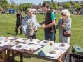 Filename=hawkg13518_05.jpg
Filesize=155KiB
Dimensions=500x376
Date added=May 16, 2018 hawkg13518_05.jpg