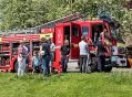 Filename=hawkg13518_23.jpg
Filesize=174KiB
Dimensions=500x367
Date added=May 16, 2018 hawkg13518_23.jpg