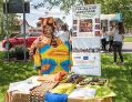 Filename=hawkg13518_41.jpg
Filesize=193KiB
Dimensions=500x384
Date added=May 16, 2018 hawkg13518_41.jpg