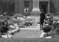 Filename=memorial-park-close.jpg
Filesize=75KiB
Dimensions=500x356
Date added=Feb 18, 2013 memorial-park-close.jpg