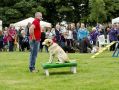 Filename=Mellor28614_041.JPG
Filesize=99KiB
Dimensions=500x377
Date added=Jul 01, 2014 Mellor28614_041.JPG