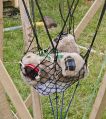Filename=Mellor28614_047.JPG
Filesize=123KiB
Dimensions=442x500
Date added=Jul 01, 2014 Mellor28614_047.JPG