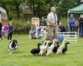 Filename=Mellor28614_093.JPG
Filesize=106KiB
Dimensions=500x396
Date added=Jul 01, 2014 Mellor28614_093.JPG