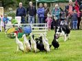 Filename=Mellor28614_095.JPG
Filesize=106KiB
Dimensions=500x371
Date added=Jul 01, 2014 Mellor28614_095.JPG