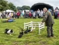 Filename=mellorf25616_059.JPG
Filesize=99KiB
Dimensions=500x381
Date added=Jul 11, 2016 mellorf25616_059.JPG