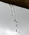 Filename=mellorf25616_126.JPG
Filesize=25KiB
Dimensions=418x500
Date added=Jul 11, 2016 mellorf25616_126.JPG