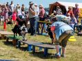 Filename=mellor30618_126.jpg
Filesize=114KiB
Dimensions=500x367
Date added=Jul 02, 2018 mellor30618_126.jpg