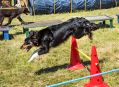 Filename=mellor30618_145.jpg
Filesize=108KiB
Dimensions=500x364
Date added=Jul 02, 2018 mellor30618_145.jpg