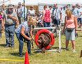 Filename=mellor30618_151.jpg
Filesize=119KiB
Dimensions=500x386
Date added=Jul 02, 2018 mellor30618_151.jpg
