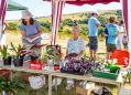 Filename=mellor30618_193.jpg
Filesize=116KiB
Dimensions=500x359
Date added=Jul 02, 2018 mellor30618_193.jpg