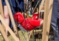 Filename=mellor30618_77.jpg
Filesize=95KiB
Dimensions=500x353
Date added=Jul 02, 2018 mellor30618_77.jpg