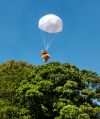 Filename=mellor30618_83.jpg
Filesize=91KiB
Dimensions=418x500
Date added=Jul 02, 2018 mellor30618_83.jpg