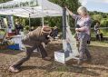 Filename=funday16_114.JPG
Filesize=95KiB
Dimensions=500x357
Date added=Sep 06, 2016 funday16_114.JPG