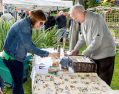 Filename=fundayromanlakes8919_056.jpg
Filesize=114KiB
Dimensions=500x392
Date added=Sep 15, 2019 fundayromanlakes8919_056.jpg
