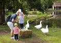 Filename=fundayromanlakes8919_126.jpg
Filesize=106KiB
Dimensions=500x358
Date added=Sep 15, 2019 fundayromanlakes8919_126.jpg