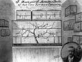 Filename=canary-breeder-sharples.jpg
Filesize=192KiB
Dimensions=500x379
Date added=May 13, 2013 canary-breeder-sharples.jpg