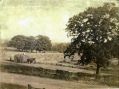 Filename=opp-280-stockport-rd-summer-1932.jpg
Filesize=177KiB
Dimensions=500x371
Date added=May 18, 2013 opp-280-stockport-rd-summer-1932.jpg