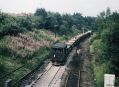 singling-rose-hill-july-1980.jpg