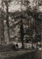 1905WoodlandDell.jpg