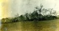 GreenBank4.jpg