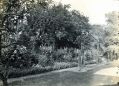 GreenBank5.jpg