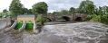 Filename=OtterspoolPan22612.JPG
Filesize=51KiB
Dimensions=500x203
Date added=Jun 23, 2012 OtterspoolPan22612.JPG