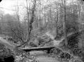 Filename=donkey_bridge1.jpg
Filesize=95KiB
Dimensions=500x370
Date added=Dec 13, 2008 donkey_bridge1.jpg