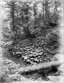 Filename=donkeywood2.jpg
Filesize=148KiB
Dimensions=386x500
Date added=Nov 08, 2009 donkeywood2.jpg
