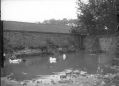goyt_hall_farm2.jpg