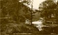 marple_dale.jpg
