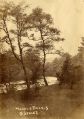 marpledale3.jpg