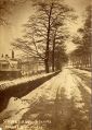 strinesroad1.jpg