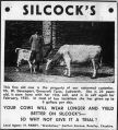 farming-in-marple-03.jpg