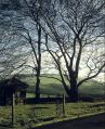 Filename=garden-house-at-beechwood-manor.jpg
Filesize=129KiB
Dimensions=408x500
Date added=Dec 07, 2014 garden-house-at-beechwood-manor.jpg