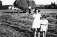 Filename=kayswood-hay-making-bp.jpg
Filesize=68KiB
Dimensions=500x325
Date added=Jul 18, 2015 kayswood-hay-making-bp.jpg