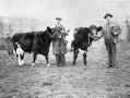 Filename=marple-cattle-market.jpg
Filesize=80KiB
Dimensions=500x376
Date added=Jun 07, 2014 marple-cattle-market.jpg