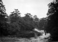 marple-dale1.jpg