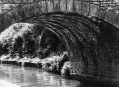 MLHS_plucksbridge.jpg