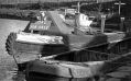 Filename=mlhs_coal_for_sale.jpg
Filesize=83KiB
Dimensions=500x312
Date added=May 09, 2010 mlhs_coal_for_sale.jpg