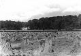 Filename=mlhs_harvest_time_at_chadkirk_c1914.jpg
Filesize=94KiB
Dimensions=500x348
Date added=Sep 11, 2010 mlhs_harvest_time_at_chadkirk_c1914.jpg