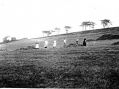 mlhs_haymaking_in_wartime_werneth_low_1914-18.jpg