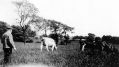 Filename=mlhs_view_from_stockport_rd_between_danbank_and_railway.jpg
Filesize=70KiB
Dimensions=500x283
Date added=Sep 11, 2010 mlhs_view_from_stockport_rd_between_danbank_and_railway.jpg