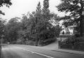 Filename=mlhs_dan_bank_by_gordon-mills.jpg
Filesize=94KiB
Dimensions=500x348
Date added=Dec 24, 2010 mlhs_dan_bank_by_gordon-mills.jpg
