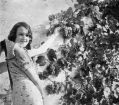 Filename=mlhs_eve-and-the-grapes.jpg
Filesize=132KiB
Dimensions=500x440
Date added=Jan 16, 2011 mlhs_eve-and-the-grapes.jpg